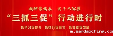 “三抓三促”行动进行时